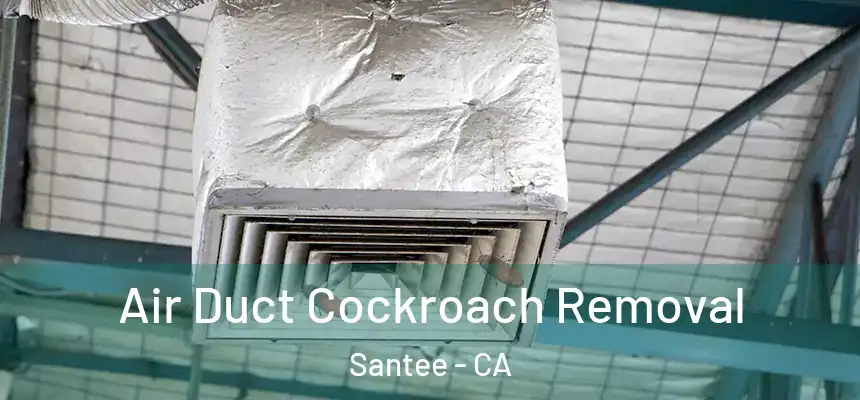  Air Duct Cockroach Removal Santee - CA