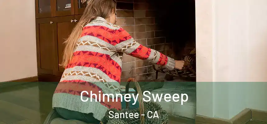 Chimney Sweep Santee - CA