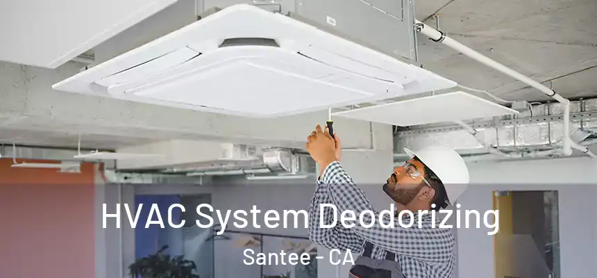 HVAC System Deodorizing Santee - CA