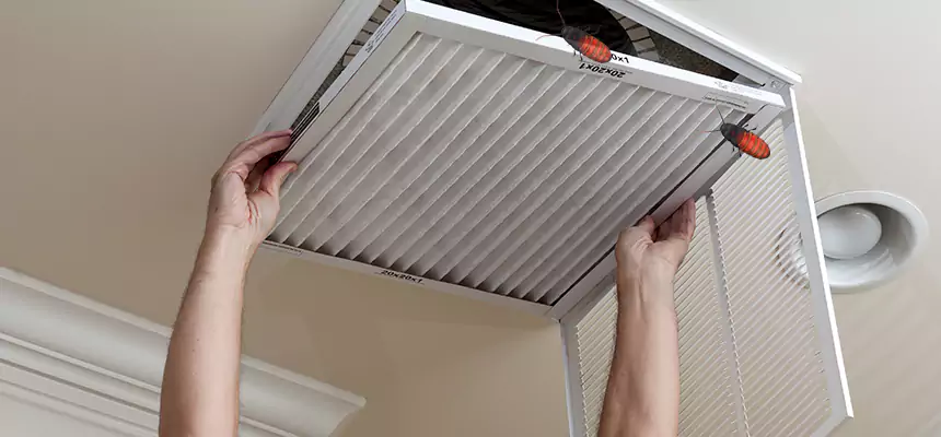 Preventive Cockroach-Proofing for Ducts in Santee