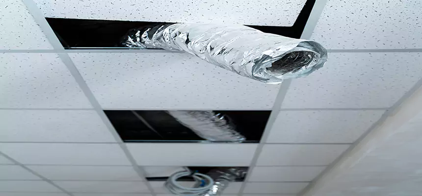 Our Air Duct Pet Hair Removal Services in Santee, CA