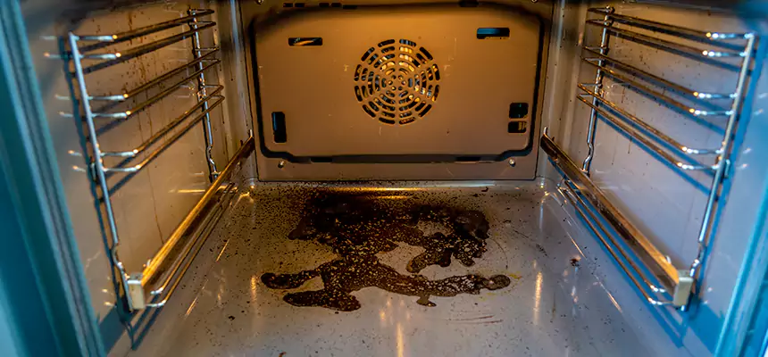 Our Dryer Vent Mold Cleaning Services in Santee, CA