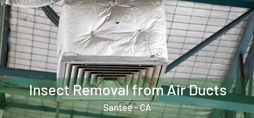  Insect Removal from Air Ducts Santee - CA