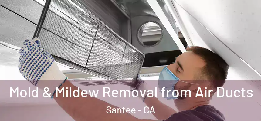 Mold & Mildew Removal from Air Ducts Santee - CA