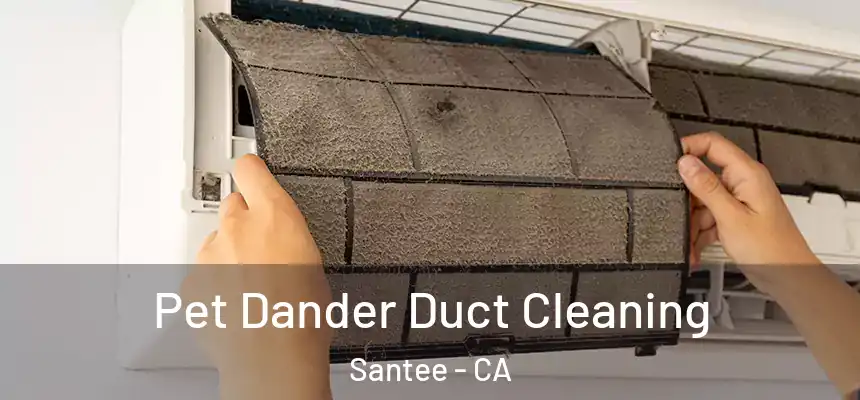  Pet Dander Duct Cleaning Santee - CA