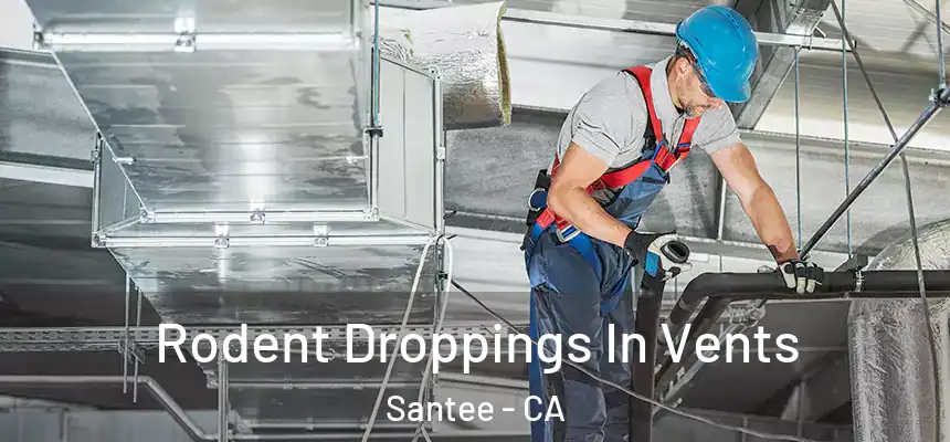  Rodent Droppings In Vents Santee - CA