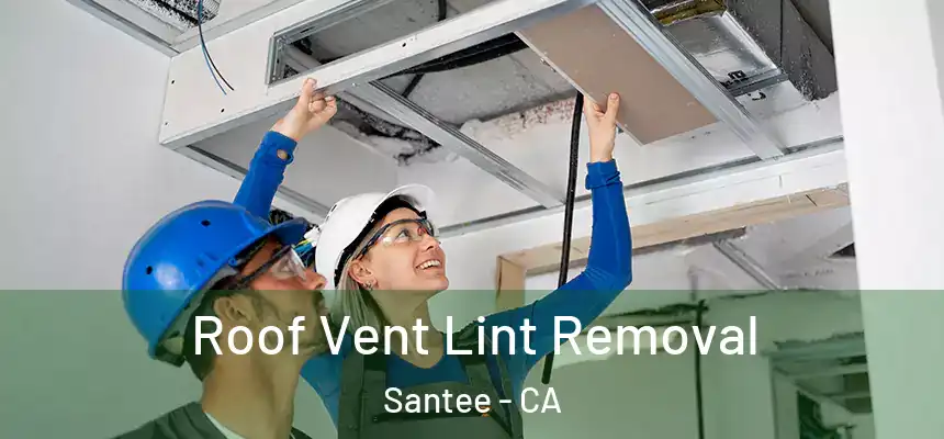 Roof Vent Lint Removal Santee - CA