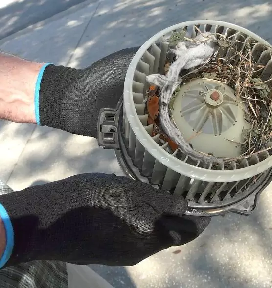 About Air Duct Mice Removal in Santee, CA