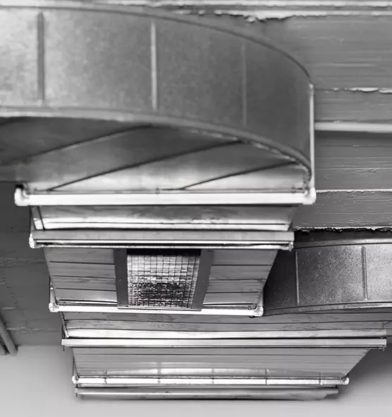 Professional Air Duct Pest Removal in Santee, CA