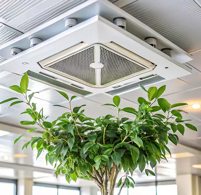 Why Homeowners & Businesses Trust Us in Santee, CA?