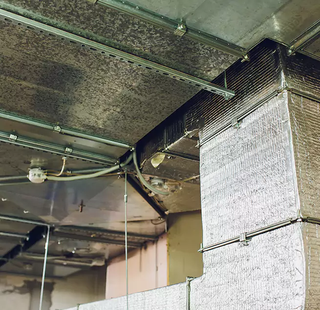 Why Homeowners & Businesses Trust Us in Santee, CA?